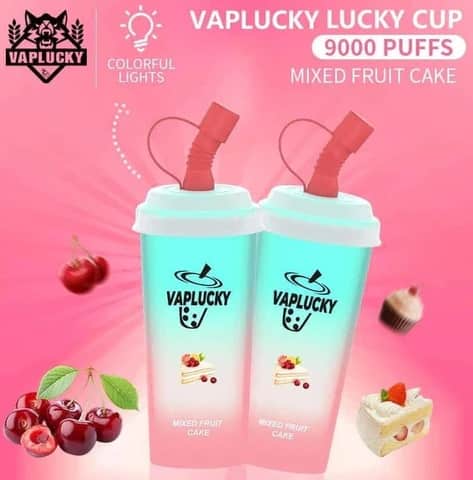 Vaplucky Lucky Cup - Mixed Fruit Cake